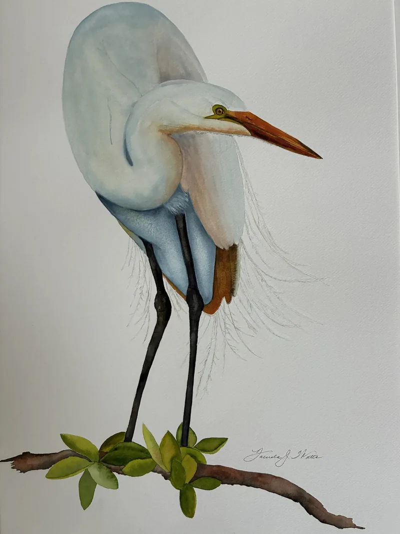 Artwork by Pamela J Watts