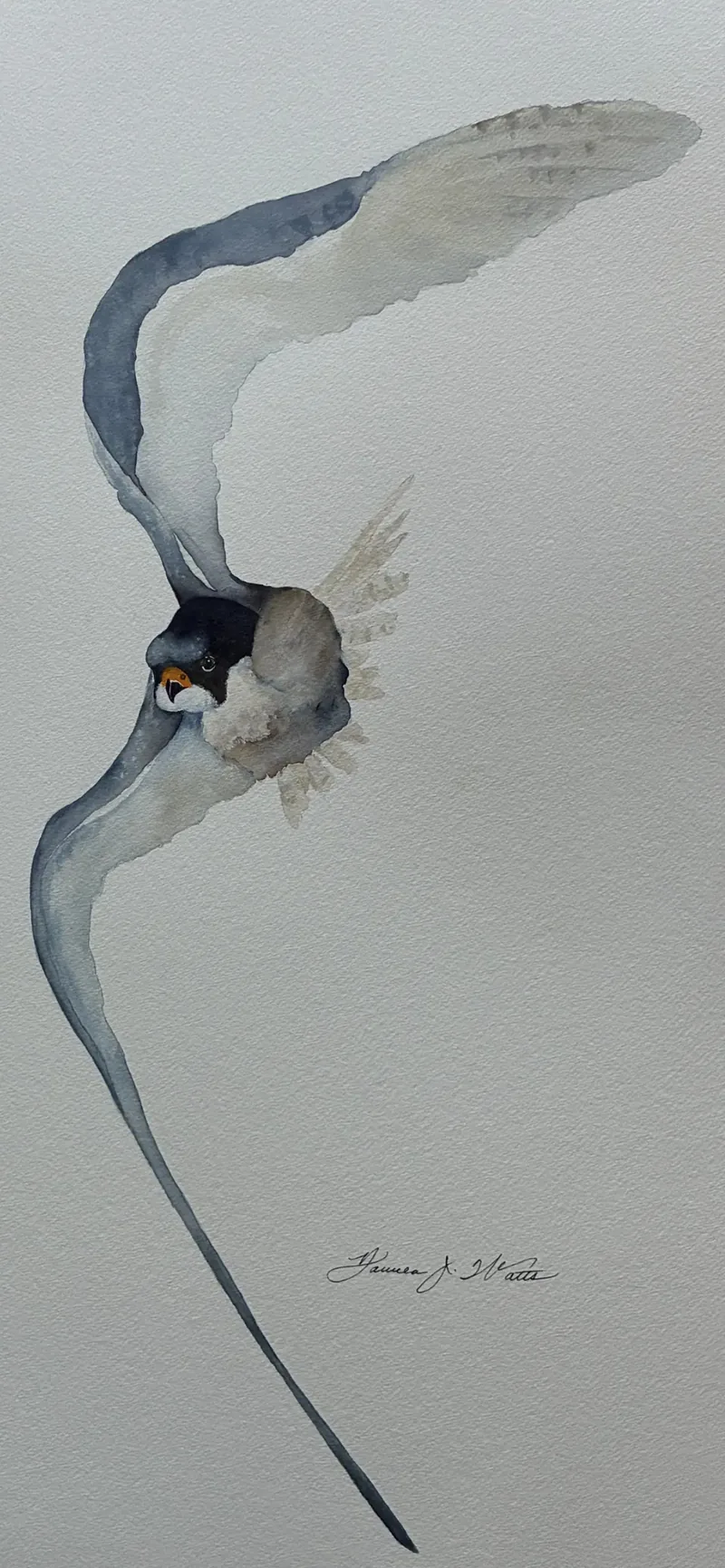 Artwork by Pamela J Watts