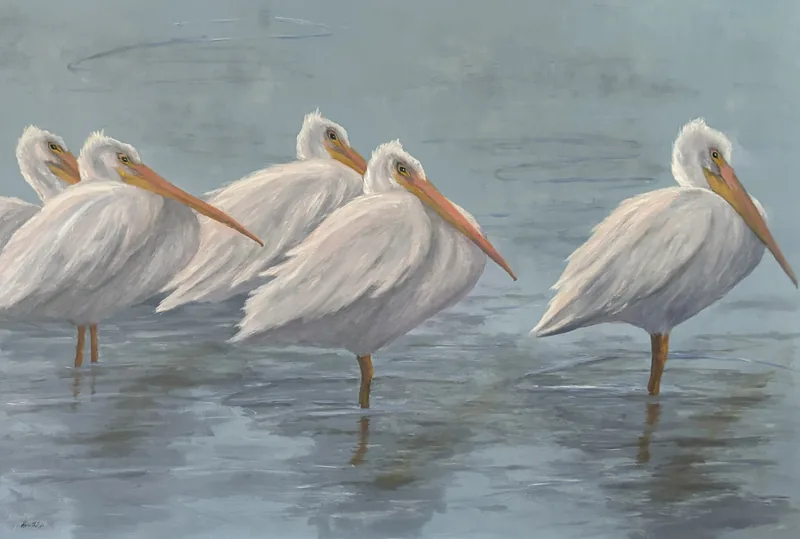 Winter White, an oil painting of white pelicans standing in shallow water, by Rosie Phillips